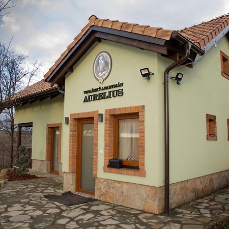 Vinarsky Penzion Andre Velke Pavlovice Exterior photo